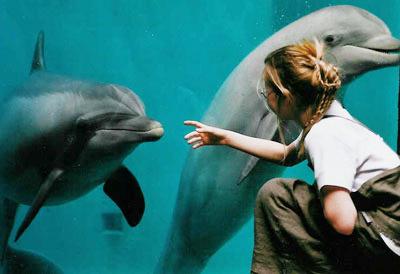 ***BRUJAS EN FAMILIA***... - ***BRUSELAS EN FAMILIA*** ✈️ Foro Viajar con Niños